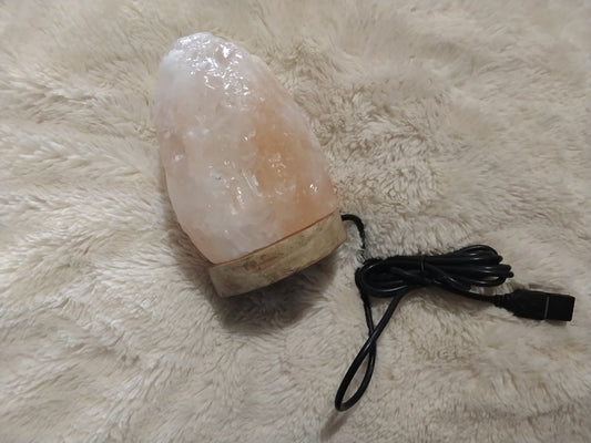 Lampe en Sel Naturel 1 kg avec Socle Bois – Lumière d’Ambiance